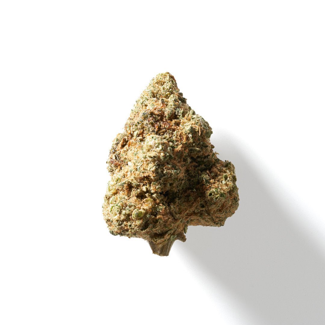 Marrakesh THCA Flower