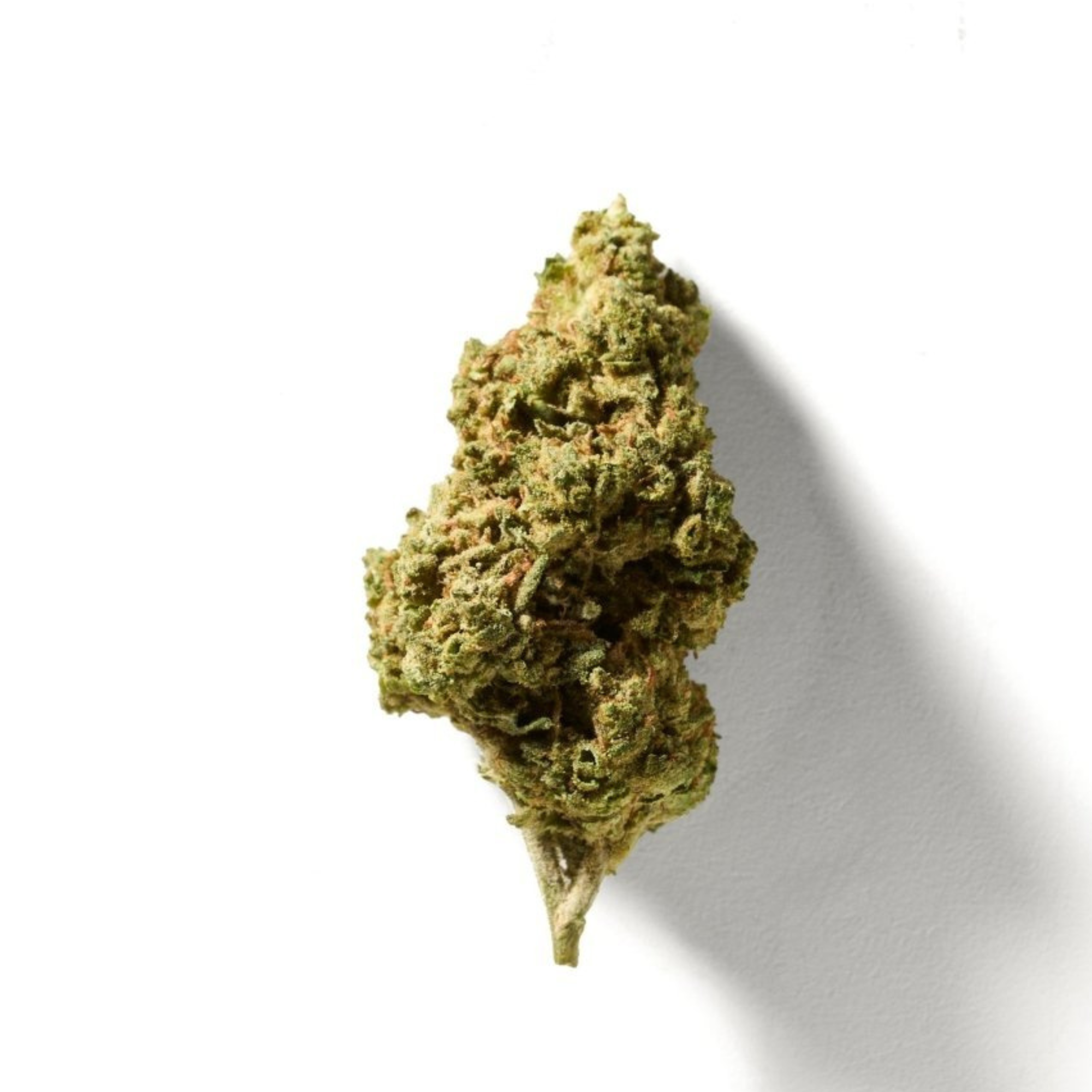 No Milk THCA Flower